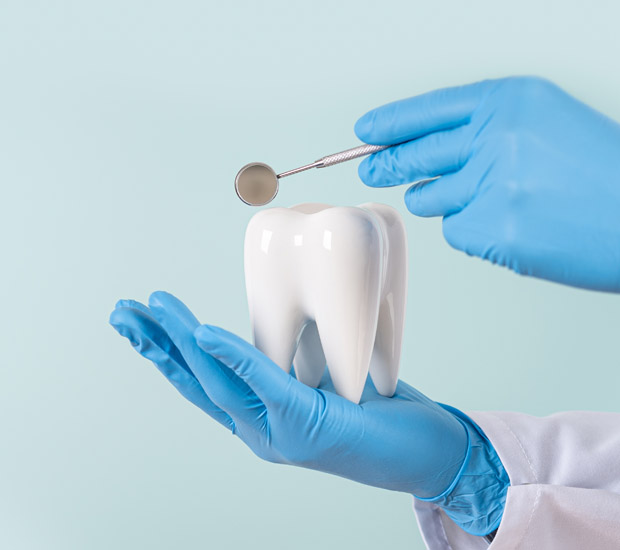 Lutz What Does a Dental Hygienist Do